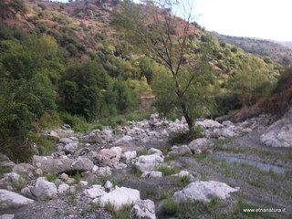 Gole Aranciara